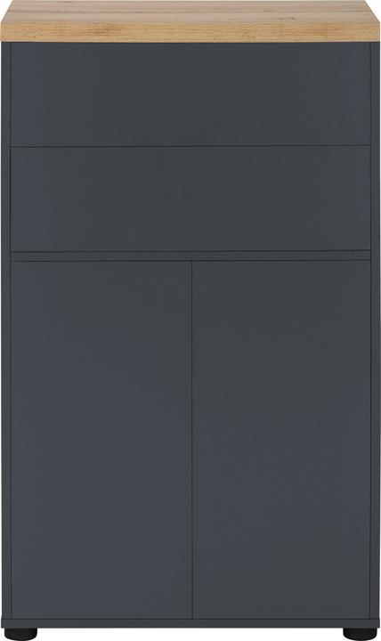 Anthracite, Chêne, Chêne Wotan