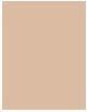 Produktbild Estée Lauder Double Wear Stay-in-Place Makeup SPF (1C0 Shell)