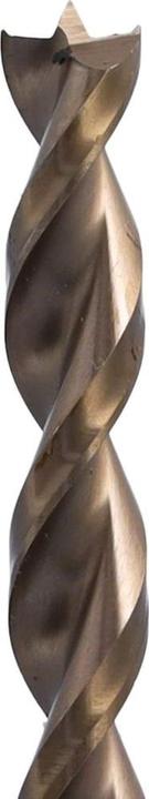 Actual product image Famag Wood drill (10 millimetres)