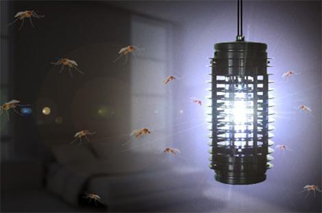 Actual product image Sonnenkönig Pic 88