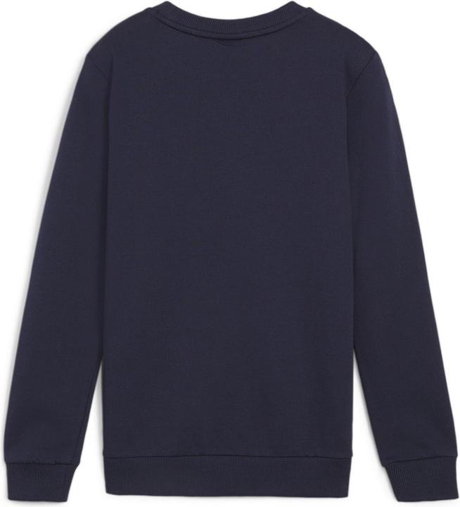 Actual product image Puma teamGOAL Casuals Crew Neck Sweat Jr (128)