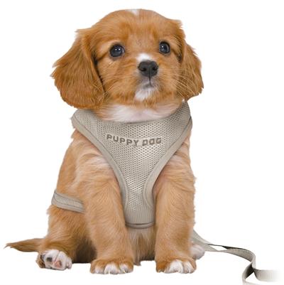 Immagine prodotto Trixie Pettorina per cuccioli Junior con guinzaglio, M-L: 36-50cm/10mm, 2m, grigio chiaro (M, L, Cane)
