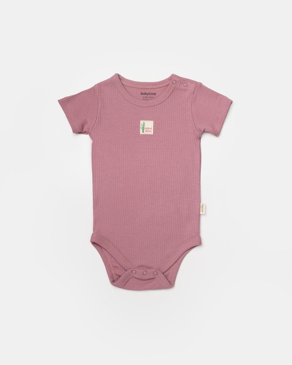 Actual product image BabyCosy 2 Pcs short sleeved Body (68)