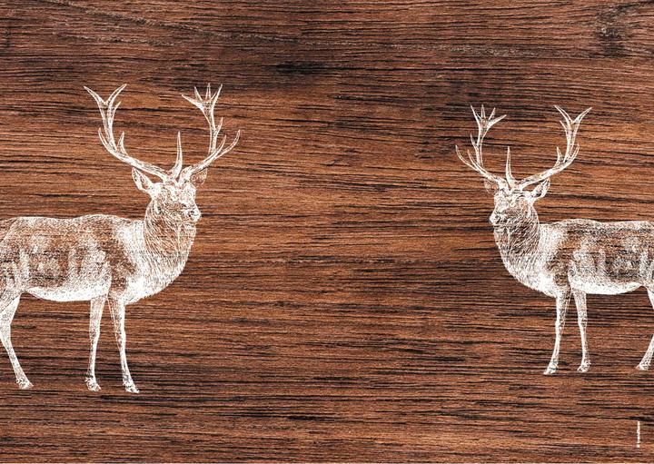 Image du produit Trendform Deer Lodge (42 x 30 cm)