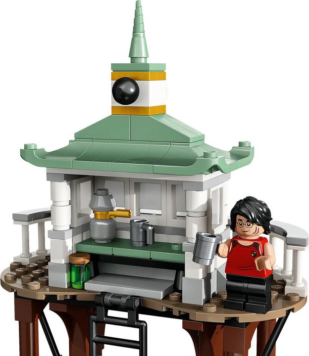 Image du produit LEGO Tournoi Trimagique : Le Lac Noir (76420, LEGO Harry Potter)