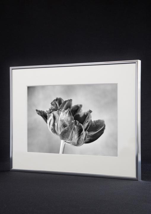Actual product image Nielsen Accent (21 x 29.7 cm)