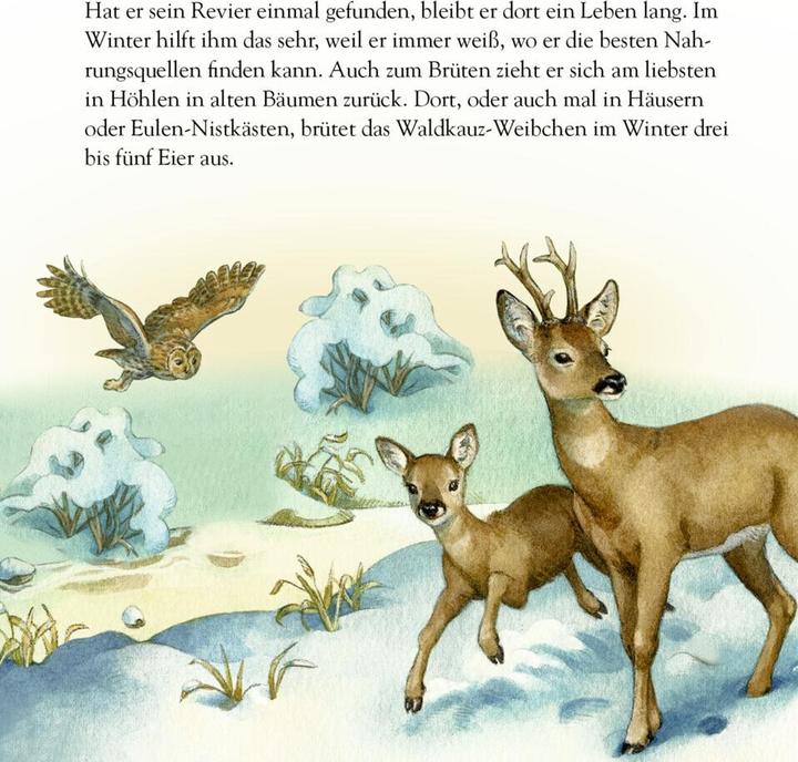 Actual product image Slip calendar