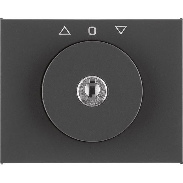 Berker 1079730600, Taster + Schalter, Grau