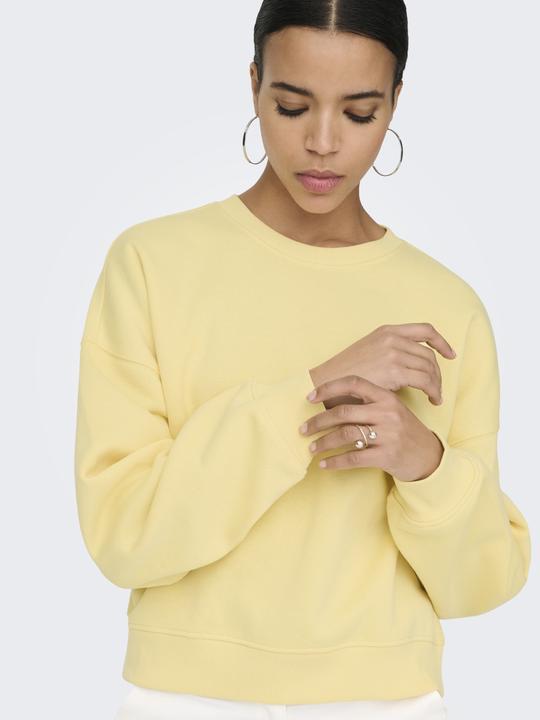 Produktbild Only Onlbest L/S Crew Neck Swt Noos (M)