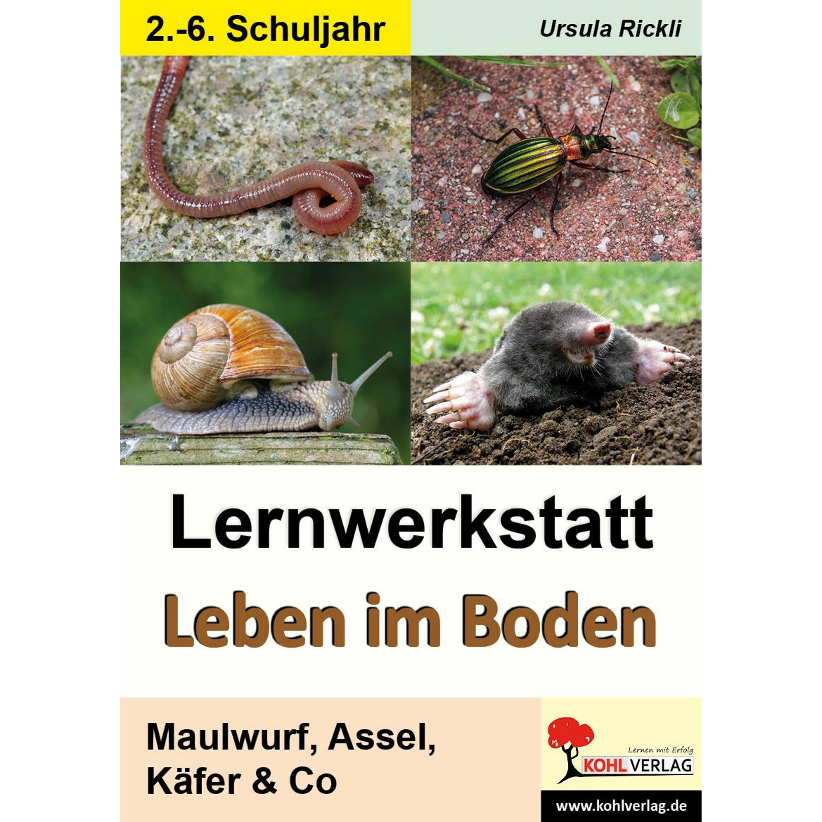 Lernwerkstatt Leben im Boden, Schulbücher von Ursula Rickli