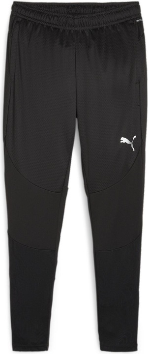 Puma teamFINAL Training Pants