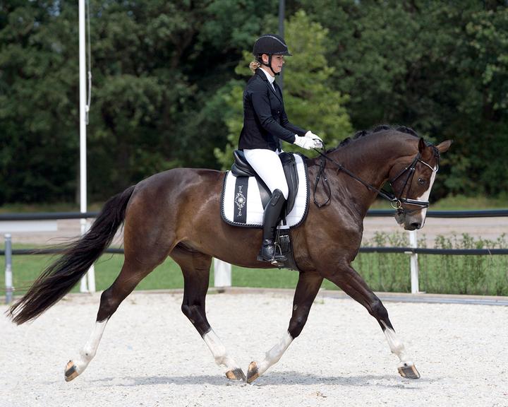 Actual product image Qhp Tournament jacket Novèn (42)