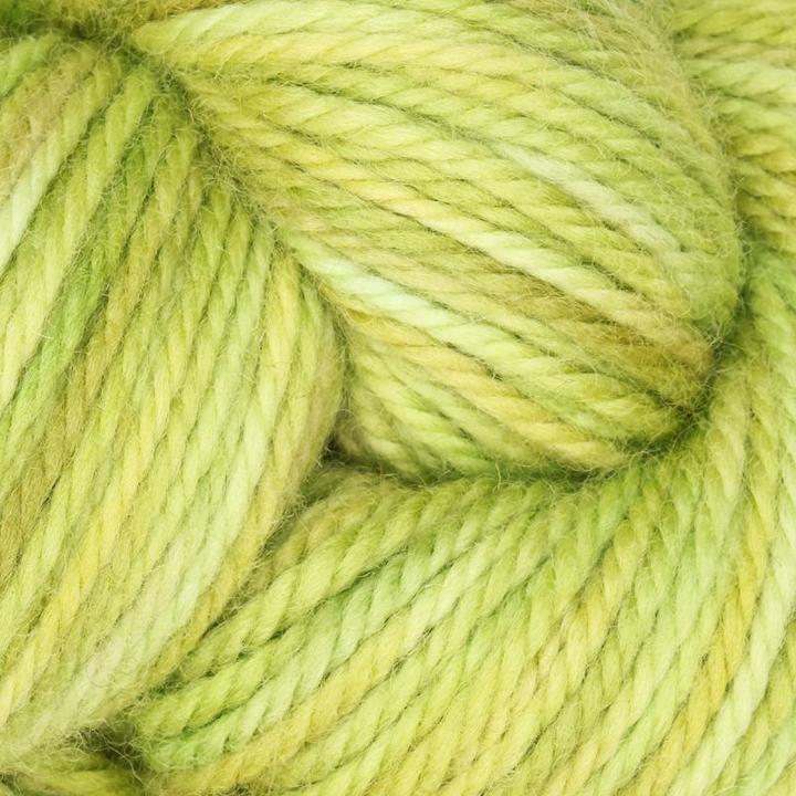 col. Parakeet