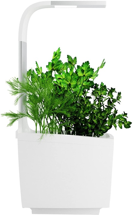Tregren Kräutertopf T3 (19.50 cm)