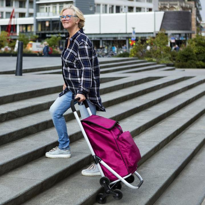 Produktbild Cruiser Expert Premium 604352 Einkaufswagen