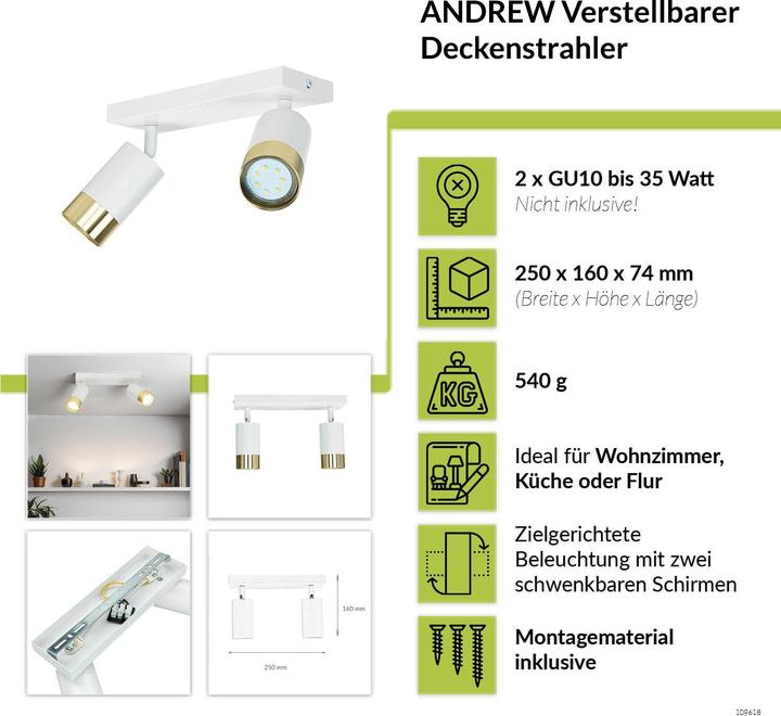 Actual product image Licht-Erlebnisse Spotlight Andrew (GU10)