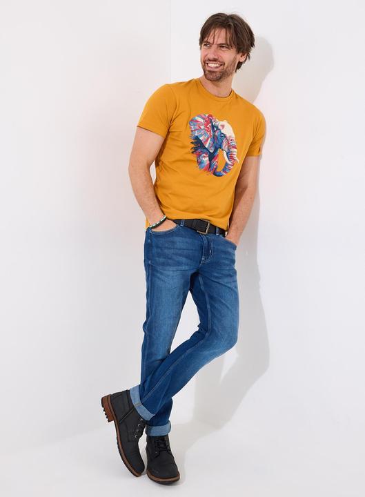 Actual product image Joe Browns Aztec Elephant Graphic T-Shirt (S)