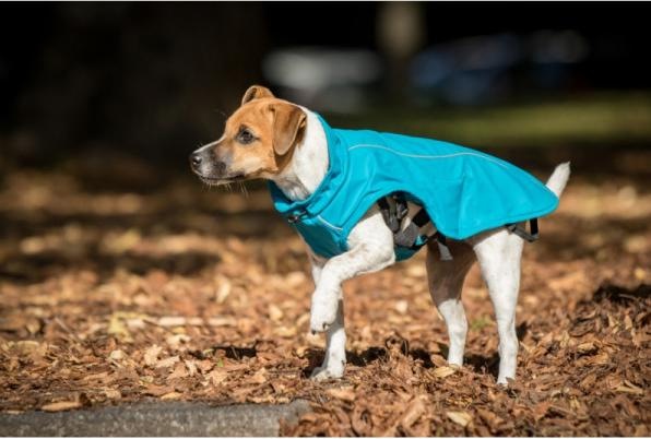 Image du produit Chiara Harry (M, Manteau pour chien)