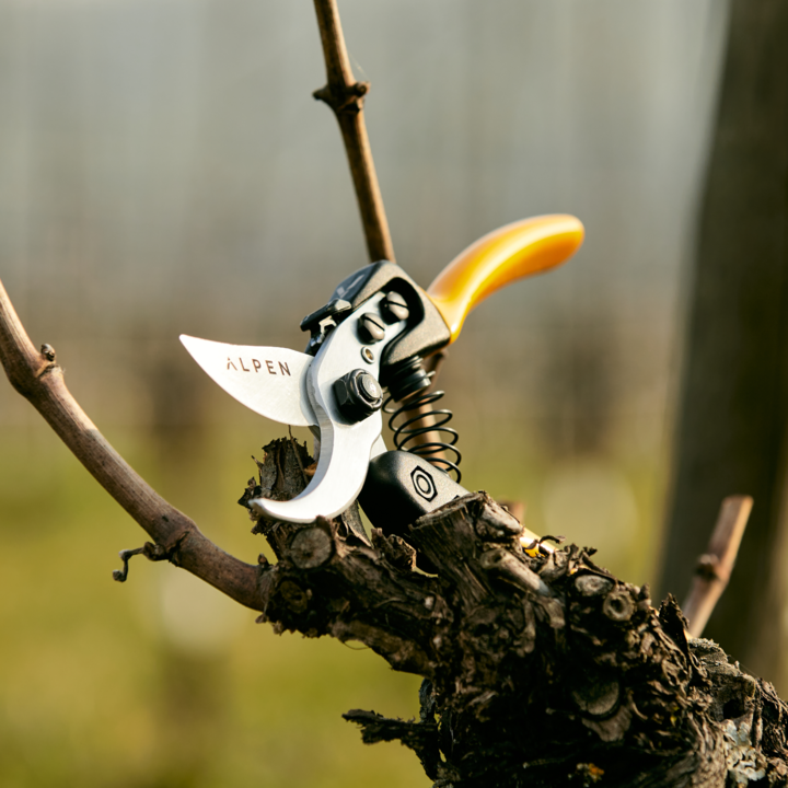 Actual product image Alpen Swiss Tools Alpen GELBHORN 150 secateurs
