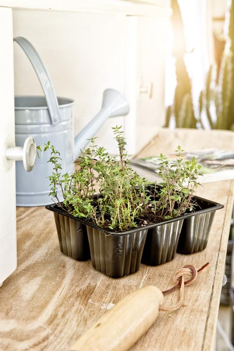 Image du produit Windhager Plaques de pot