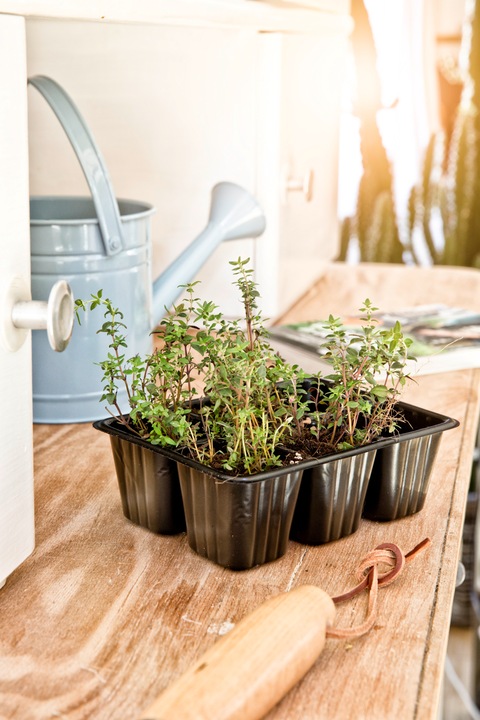 Actual product image Windhager Pot Plates