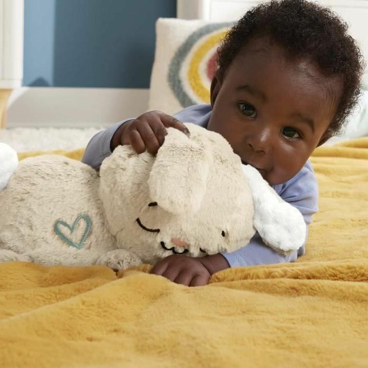 Actual product image Fisher-Price Slumber bunny (17.80 cm)