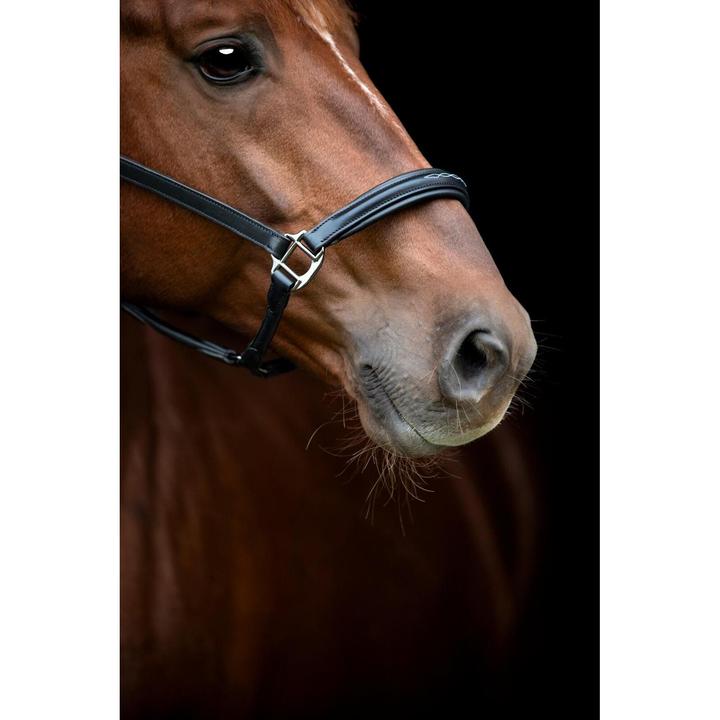 Produktbild Catago Novi 25.2