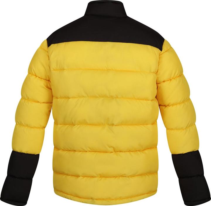 Produktbild Regatta Vintage Steppjacke (M)
