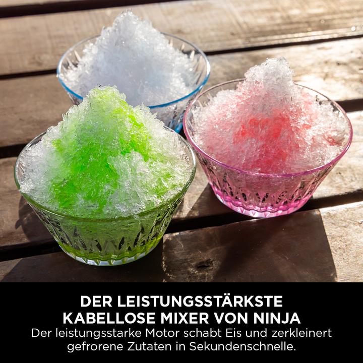 Actual product image Ninja Blast Max