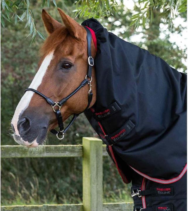 Produktbild Premier Equine Titan 100 g (183 cm)