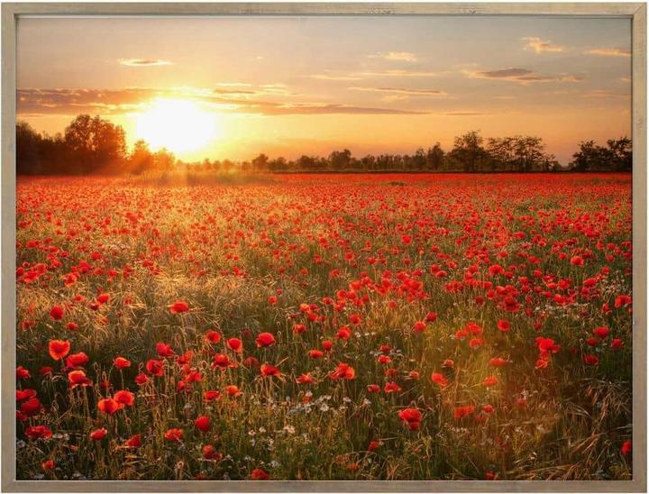 Actual product image Trenddeko Poppy field in sunset (50 x 60 cm)