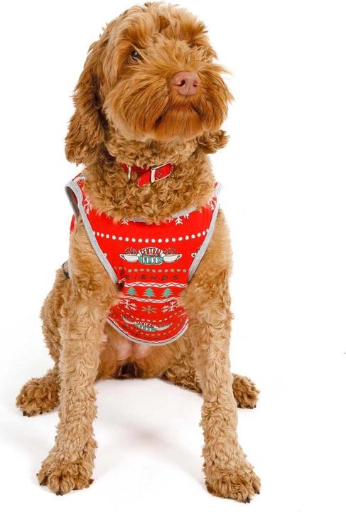 Actual product image Friends Dog pyjamas Central Perk Christmas design (S, Dog coat)