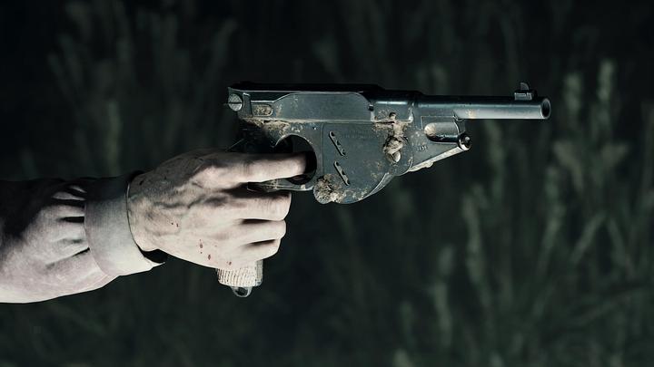 Image du produit Deep Silver Hunt : Showdown (PS4, FR)