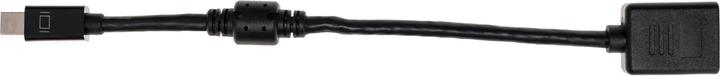 Productafbeelding Delock Mini DP naar (DP, 21 cm)