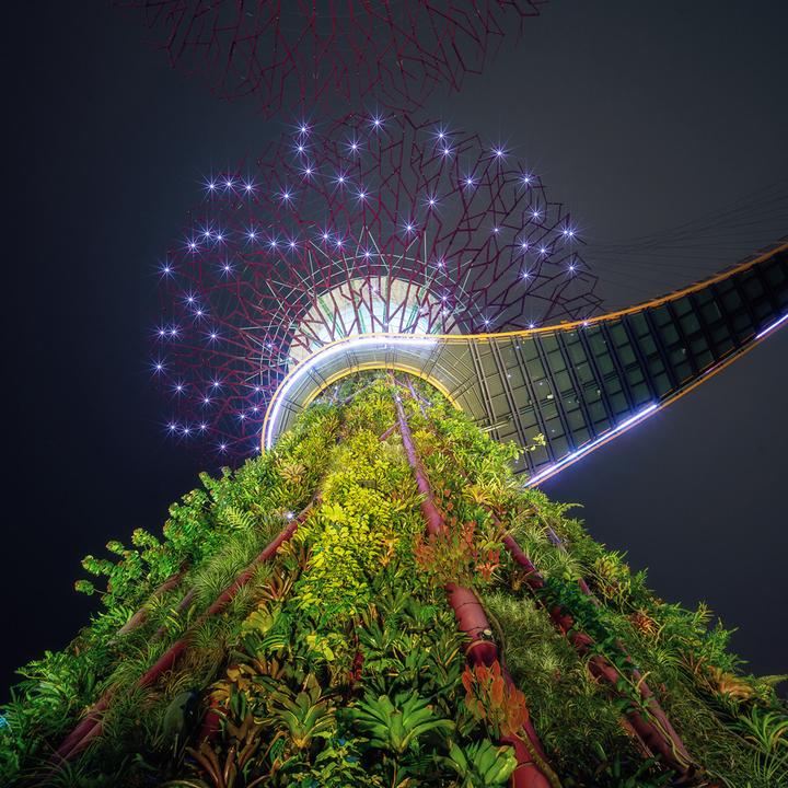 Produktbild Venus Optic Lernset G5 Off-Road 4x4 Automodell (Nikon F, Vollformat)