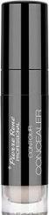 Image du produit Pierre Rene Professional Pierre Rene - Contour Concealer Concealer Liquid 01 (01)