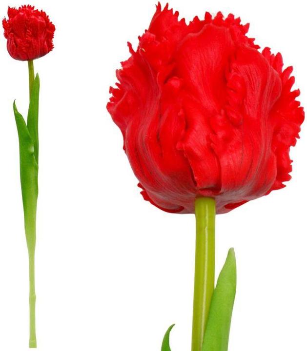 Produktbild Saska Garden Tulipan Czerwony 38cm As If Alive Dekoracja Wiosenna (38 cm)