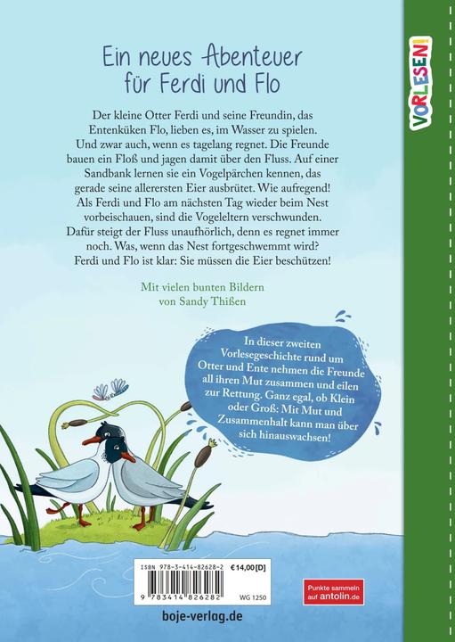 Produktbild VORLESEN! Ferdi & Flo. Grosse Hilfe für kleine Küken (Band 2) (Deutsch, Katrin Pokahr, 2021)