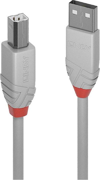 Actual product image Lindy USB/A-USB/B M-M (2 m, USB 2.0)