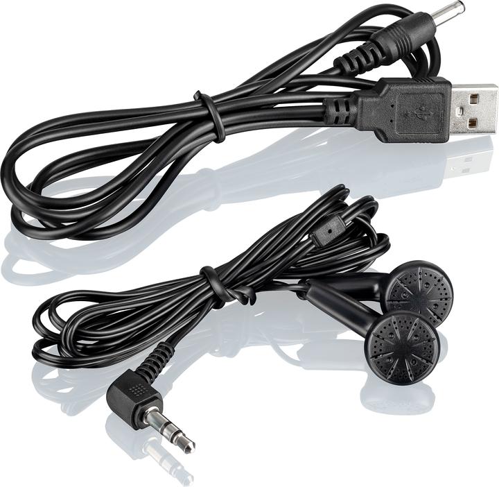 Actual product image Roadstar PCD-498NMP