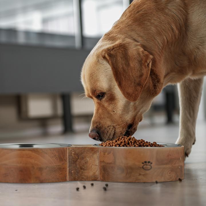 Actual product image Relaxdays Ciotole-alzate cani (2.20 l)