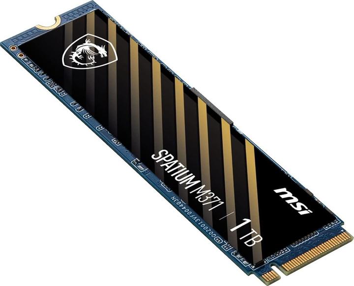 Actual product image MSI M371 NVMe M.2 (1000 GB, M.2 2280)