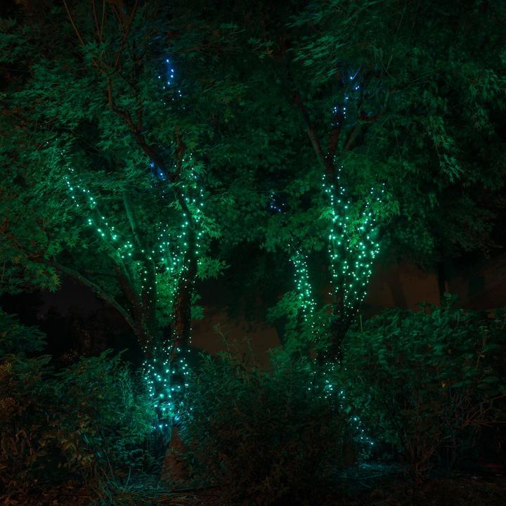 Image du produit Twinkly Chaînes (32 m)