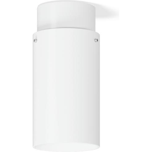 RZB, Wandleuchte + Deckenleuchte, LED-Aufbaudownlight (2600 lm)