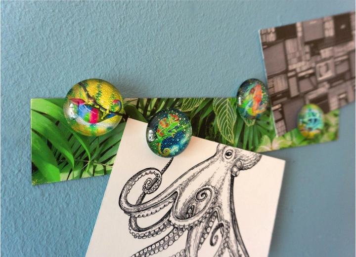Produktbild Trendform Magnetbrett Story Box Chameleon 5 x 30 cm (1 x)