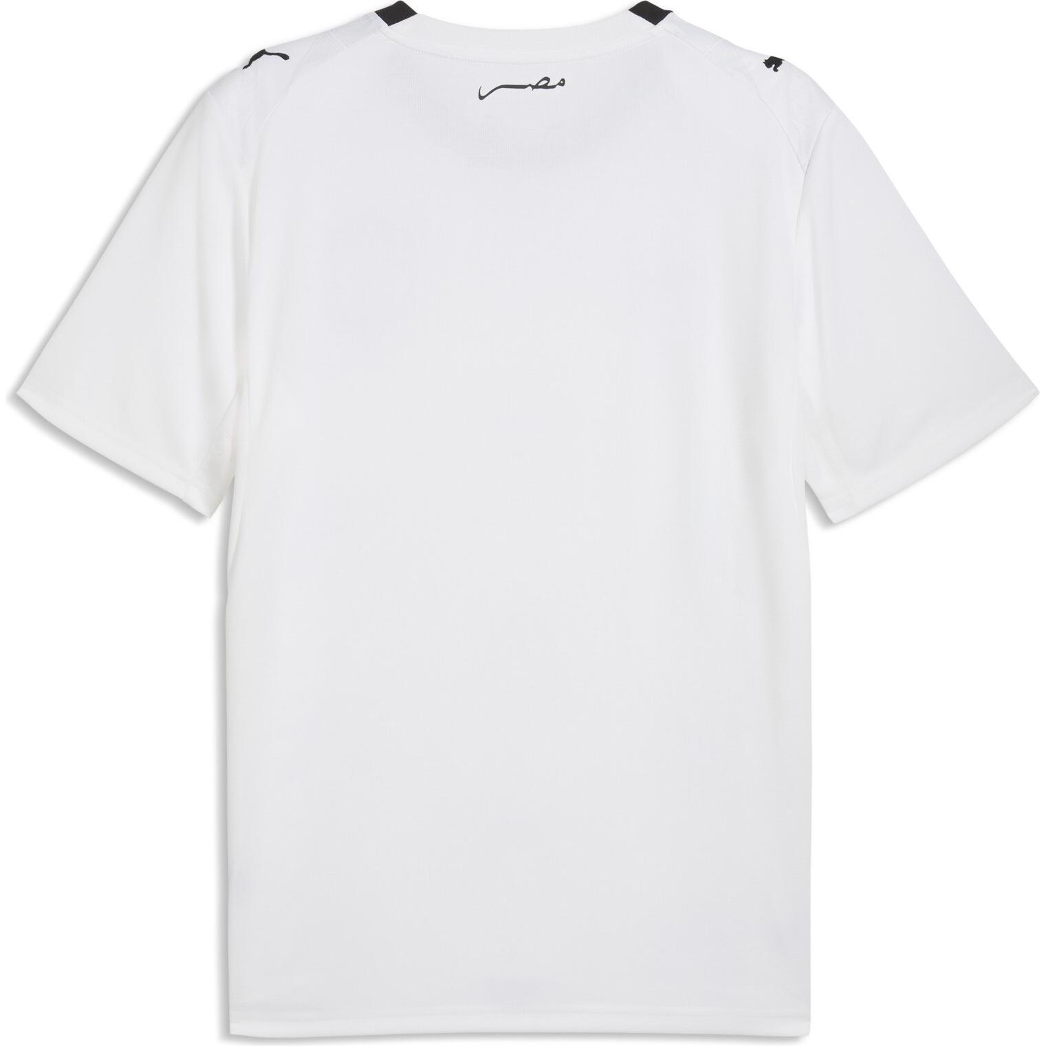 Puma, Uomini, Maglietta calcio, EFA Away Jersey Replica (XXL), XXL
