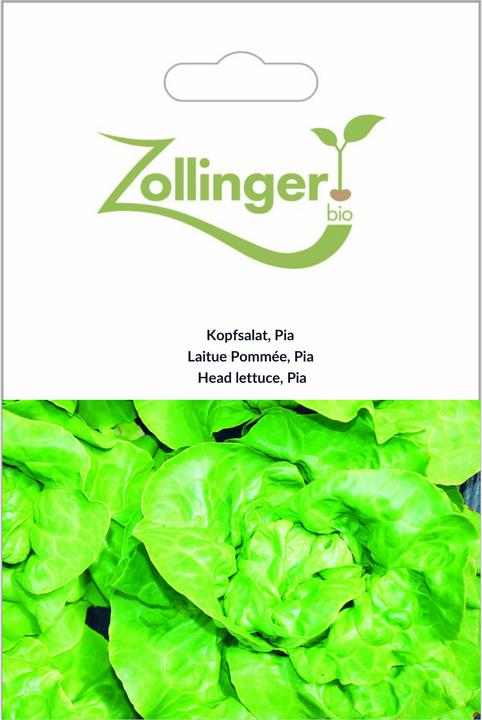 Immagine prodotto Zollinger Bio Lattuga, Pia