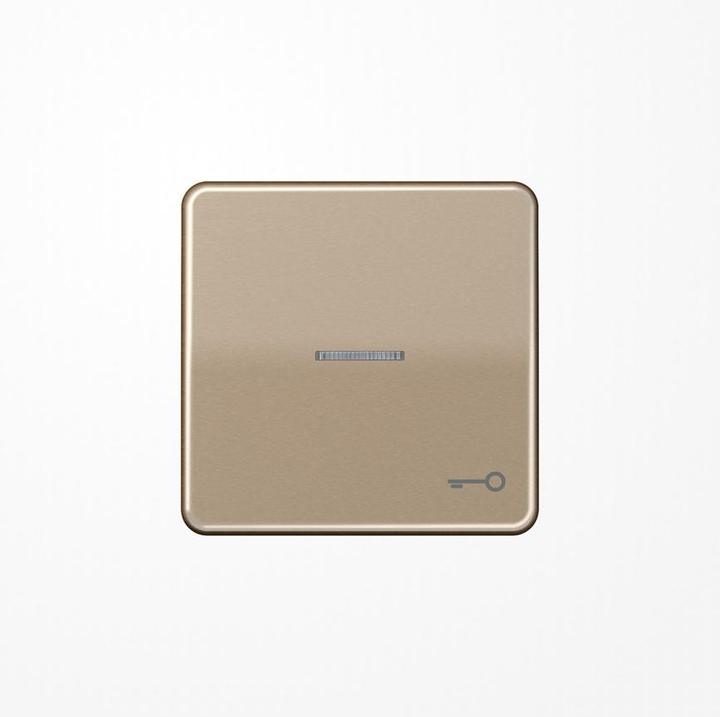 Actual product image JUNG Control rocker switch CD brz glz CD590KO5TGB