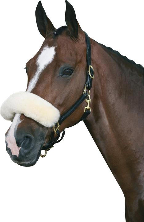 Immagine prodotto Horse Guard Guaina nasale