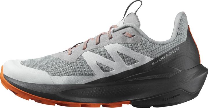 Image du produit Salomon Elixir Activ GTX (42 2/3)